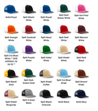 Load image into Gallery viewer, We The People (Skull) Hat
